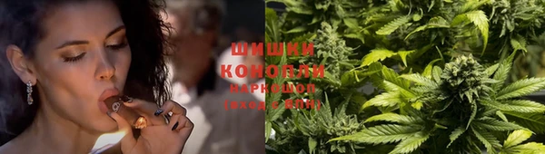 гидропоника Чегем