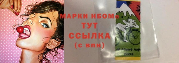 прущие крисы Чердынь