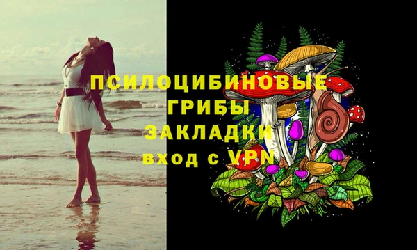 гидропоника Чегем