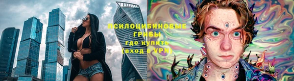 прущие крисы Чердынь
